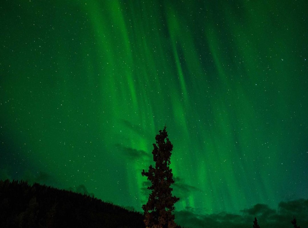 The Smart Way to Plan: Cut Through the Noise and Find Your Perfect Flight