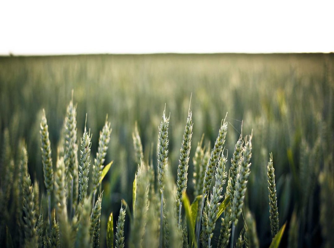 Where to Find Crystal-Clear HD & 4K Wallpapers