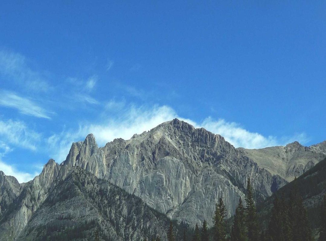 Thoughtful & Reflective Messages for a Calm Start