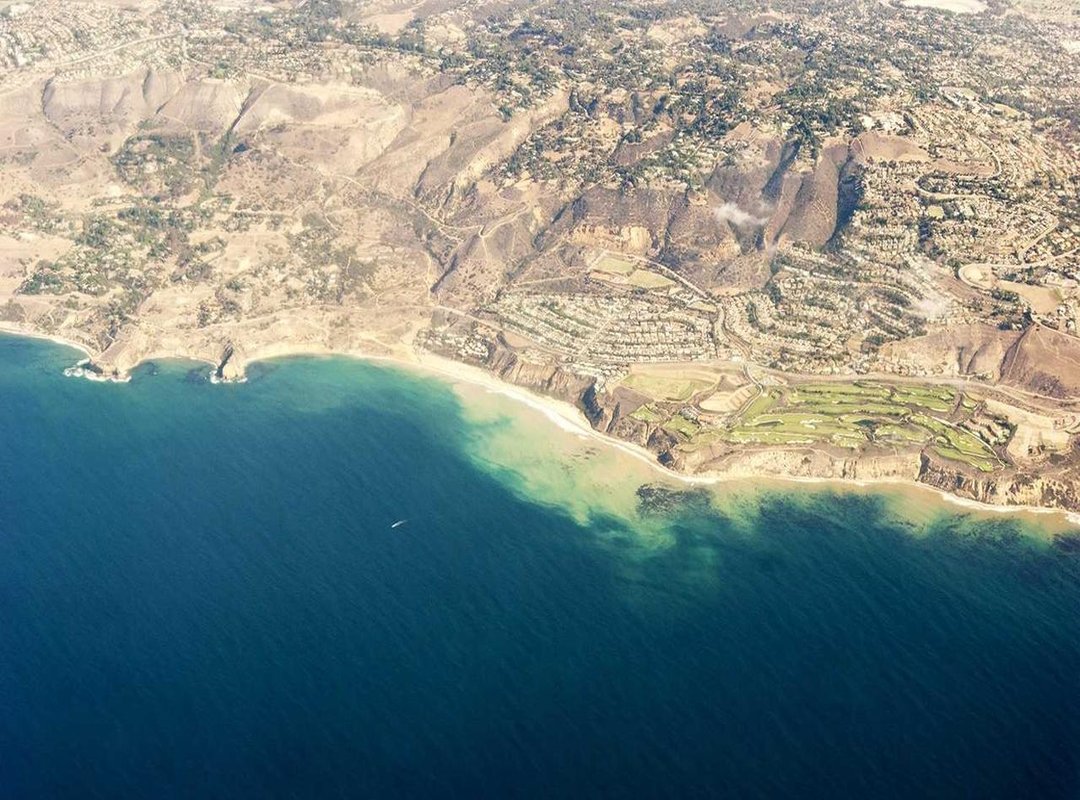 The Psychology of Recognition: Why We're So Fascinated