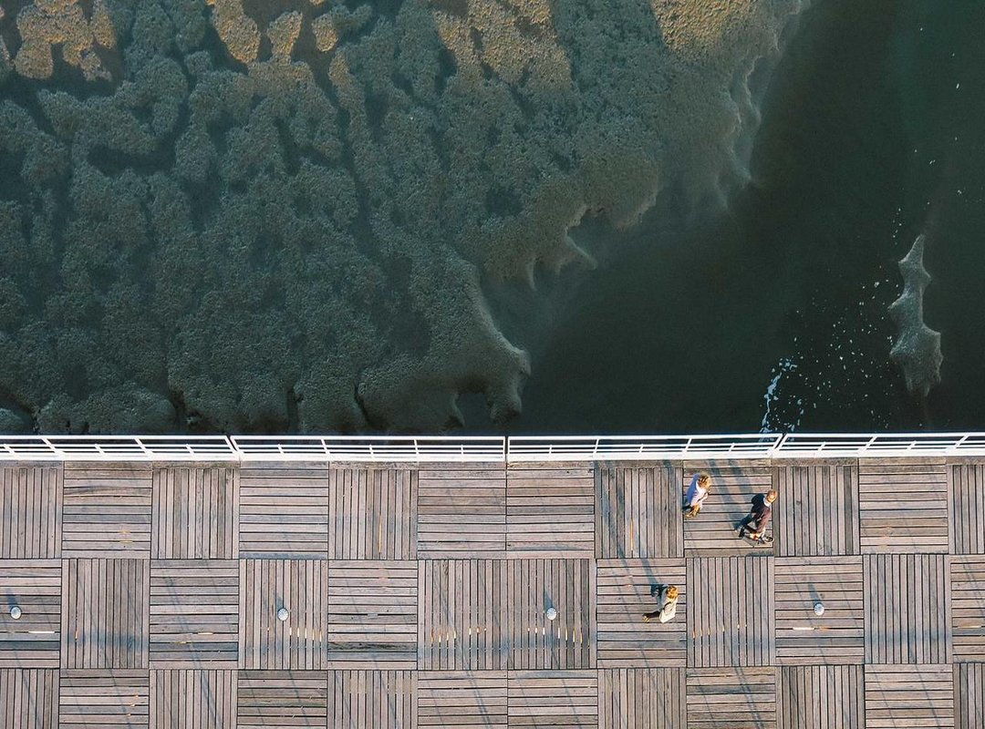 Beyond the Color: Key Technologies in Kalenji Shoes