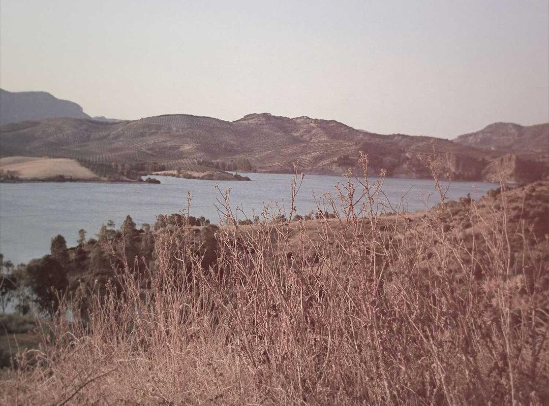 The Real-World Location: Can You Visit the 'Dancer's Village'?