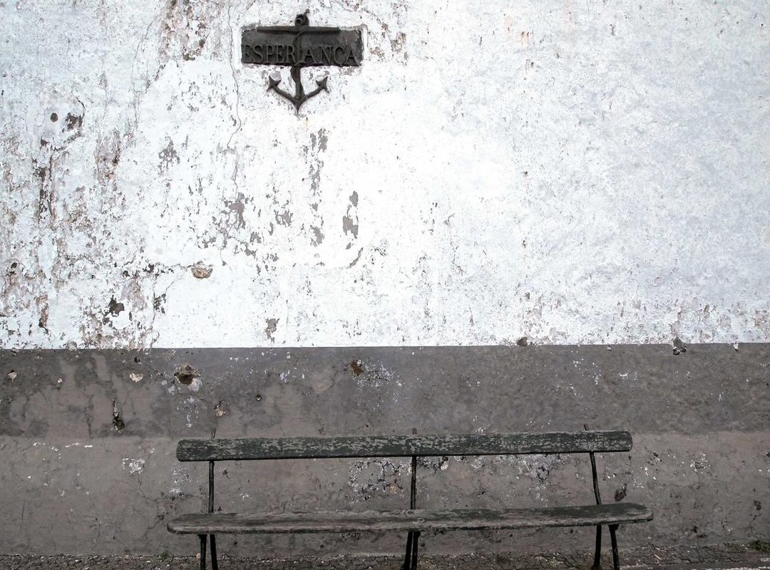 Capturing the Concrete Canvas: Tips for Photographing Roadside Art