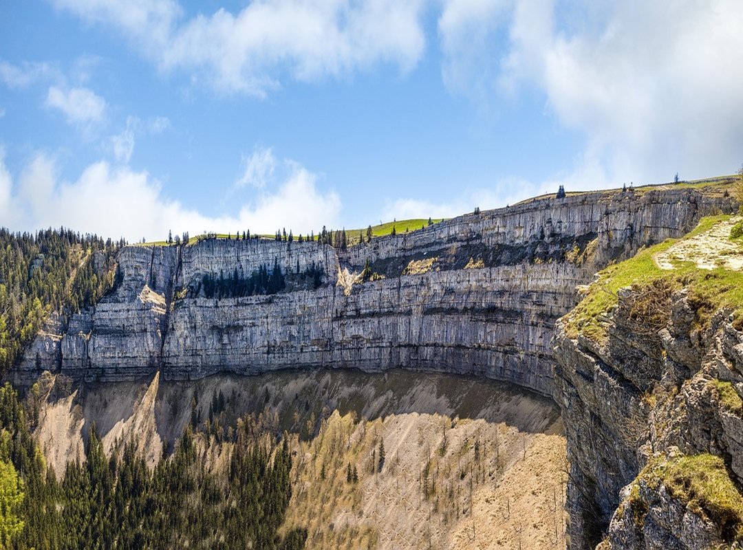 Is Following Michaël van de Poppe on Twitter Worth It?