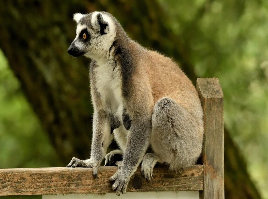 wallpaper kata kata semangat islam