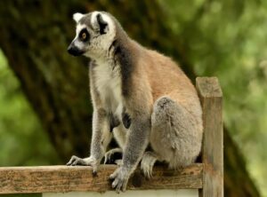 wallpaper kata kata semangat islam