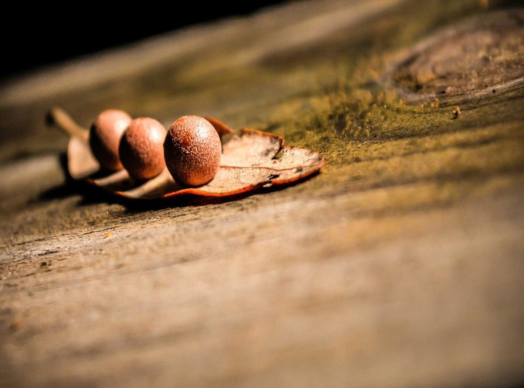 Episode 2 Full Recap: A Stormy Homecoming and Awkward Reunions