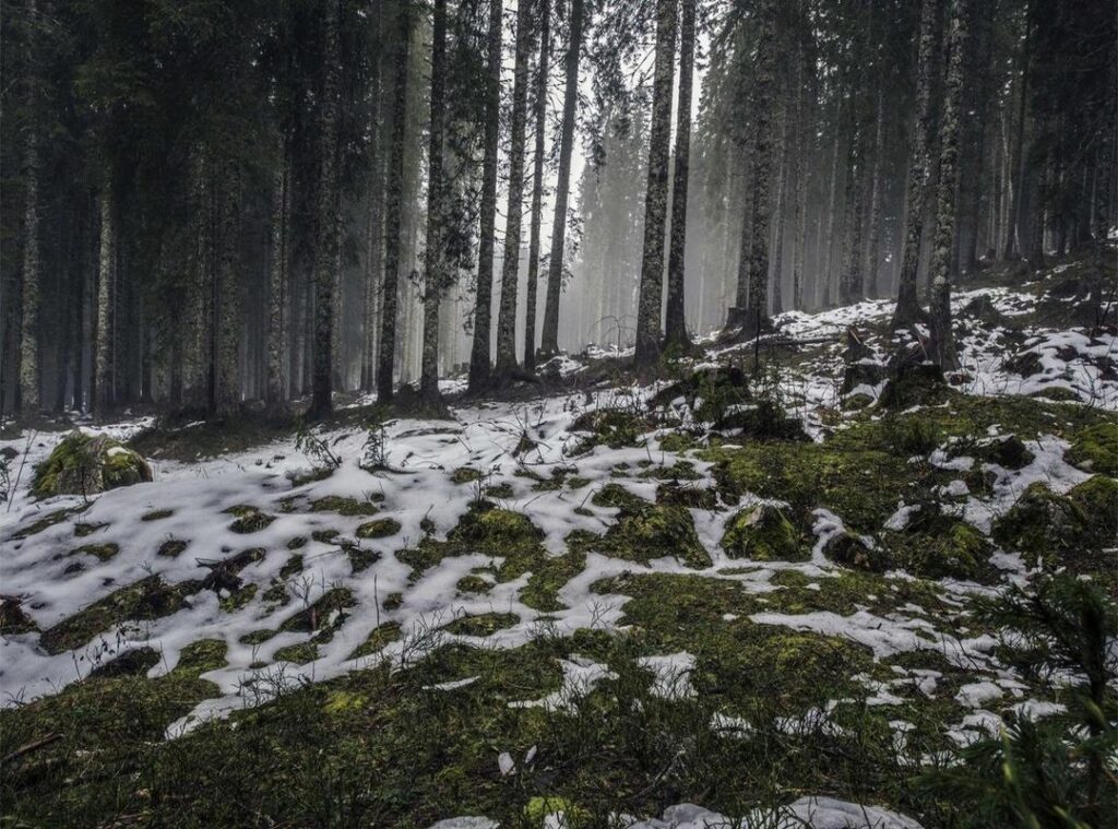 youtube to mp3 converter -- yt2