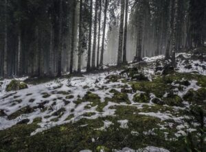 youtube to mp3 converter -- yt2