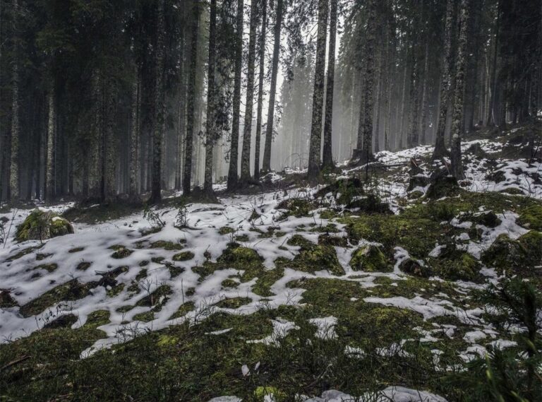 youtube to mp3 converter -- yt2